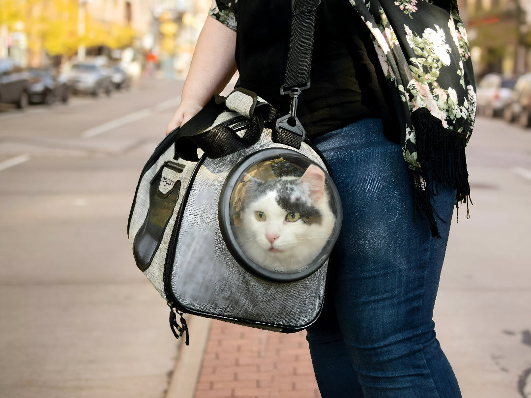 Choosing The Perfect Pet Carrier For Travel