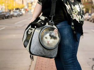Choosing The Perfect Pet Carrier For Travel