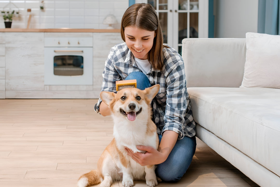 Essential Pet Grooming Tips For Healthy Coats