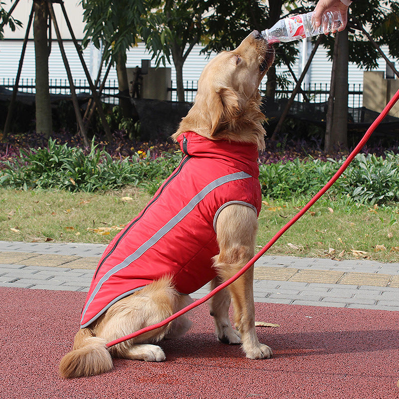 3e97f58257b27ebbb47376ac90a2f622